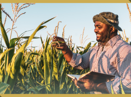 Five Countries Launch High Ambition Coalition on Food Systems Transformation