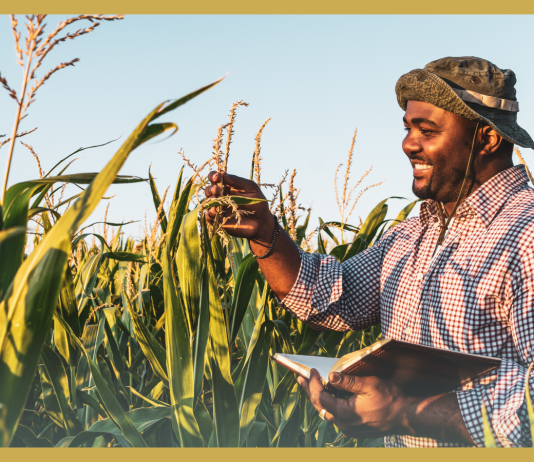 Five Countries Launch High Ambition Coalition on Food Systems Transformation