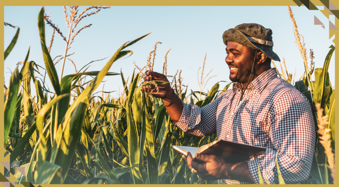 Five Countries Launch High Ambition Coalition on Food Systems Transformation