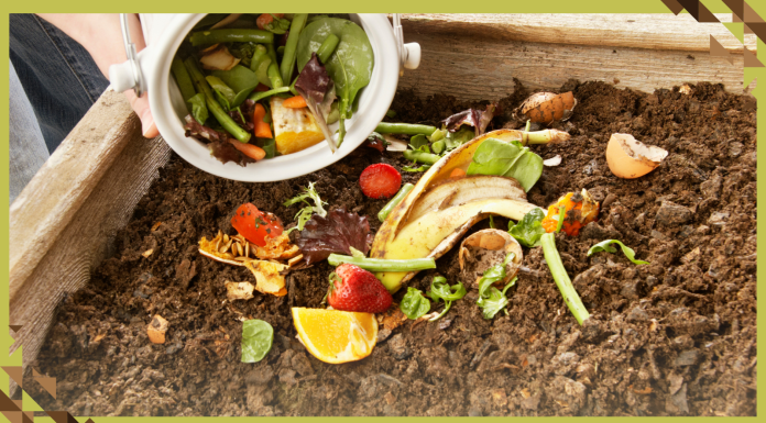 The ‘Climate Action Handbook’ is a Guide to Protecting the Climate