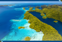 Palau Becomes First Nation to Ratify High Seas Treaty to Safeguard Marine Life