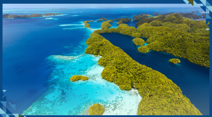 Palau Becomes First Nation to Ratify High Seas Treaty to Safeguard Marine Life
