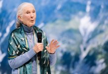 It Will Take Hope, Inspiration and Action to Save the Earth