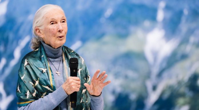 It Will Take Hope, Inspiration and Action to Save the Earth