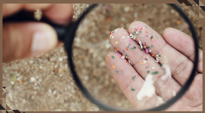 What are Nanoplastics? An Engineer Explains Concerns About Particles Too Small to See