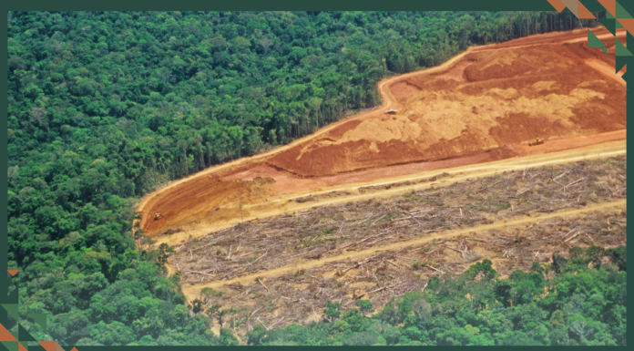 Amazon Deforestation Cut by 83% in Places Protected by Indigenous Communities – New Research