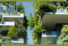 Co-creating Cities Through Indigenous Knowledge and Nature-based Solutions