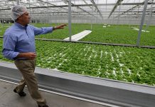 Community Wealth Building is a Strategy for Canada’s Transition to Net Zero