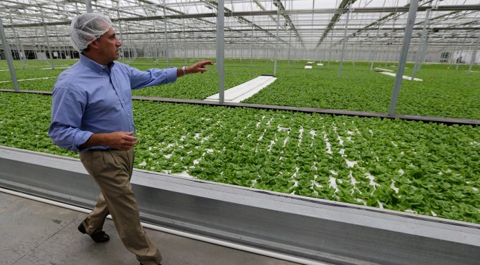 Community Wealth Building is a Strategy for Canada’s Transition to Net Zero