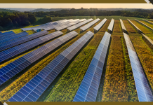 How Solar Microgrids Could Power the Future