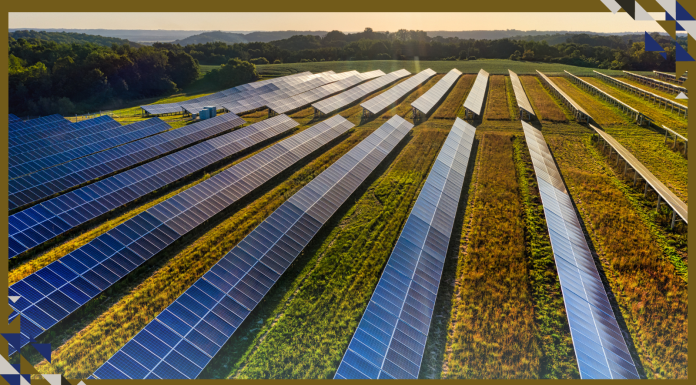 How Solar Microgrids Could Power the Future