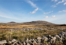 When Farmers and Scientists Collaborate, Biodiversity and Agriculture can Thrive – Here’s How