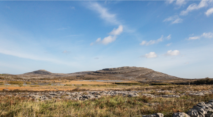 When Farmers and Scientists Collaborate, Biodiversity and Agriculture can Thrive – Here’s How