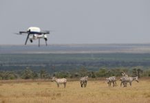 How Biologists and Technologists are Teaming Up to Improve Wildlife Conservation