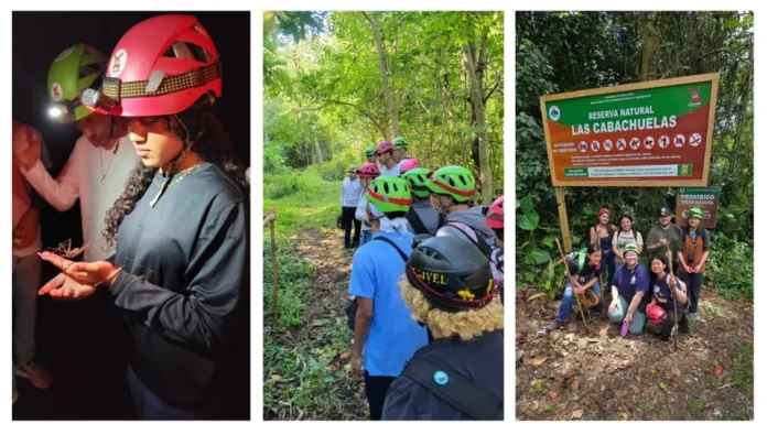 A Puerto Rican Community Decided to Preserve its Forest. Now it Makes Money Thanks to Ecotourism