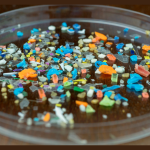 Solving the World’s Microplastics Problem: 4 Solutions Cities and States are Trying After Global Treaty Talks Collapsed