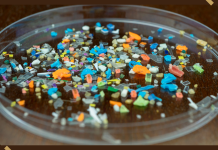 Solving the World’s Microplastics Problem: 4 Solutions Cities and States are Trying After Global Treaty Talks Collapsed
