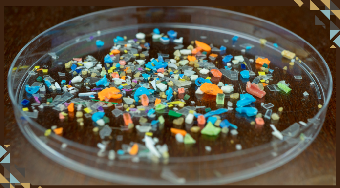 Solving the World’s Microplastics Problem: 4 Solutions Cities and States are Trying After Global Treaty Talks Collapsed