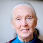 ‘Only If We Help Shall All Be Saved’: Jane Goodall Showed We Can All Be Part of the Solution