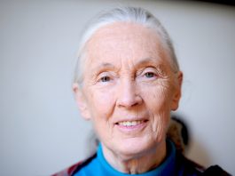 ‘Only If We Help Shall All Be Saved’: Jane Goodall Showed We Can All Be Part of the Solution