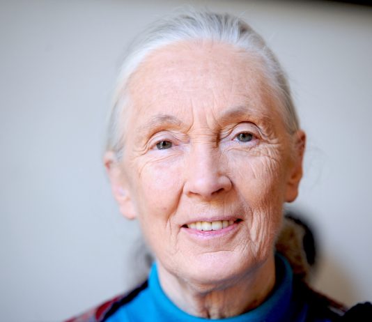 ‘Only If We Help Shall All Be Saved’: Jane Goodall Showed We Can All Be Part of the Solution