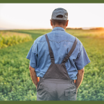 Growing a Mix of Plants in Fields Can Save Farmers Money and Help the Environment – New Research