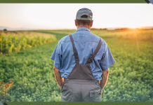 Growing a Mix of Plants in Fields Can Save Farmers Money and Help the Environment – New Research