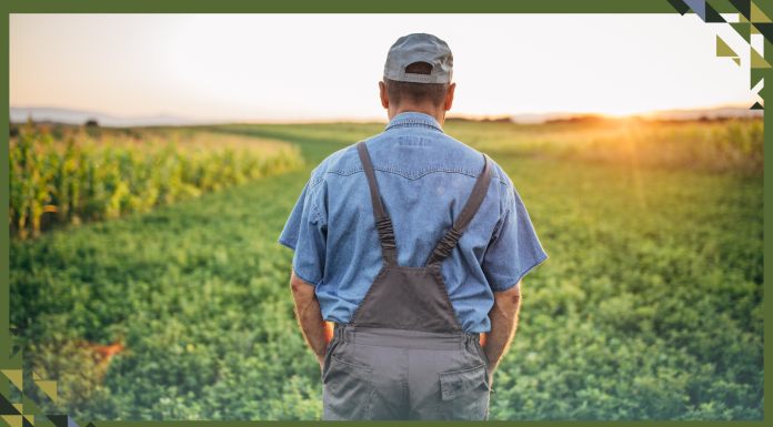 Growing a Mix of Plants in Fields Can Save Farmers Money and Help the Environment – New Research