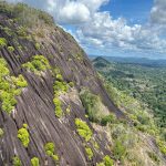 This South American Nation Pledged to Protect 90% of its Forests