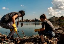 5 Inspiring Community-led Solutions Turning the Tide on Pollution